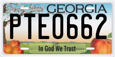 GA license plate PTE0662