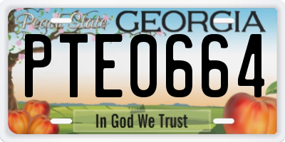 GA license plate PTE0664
