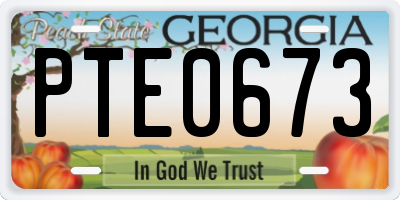 GA license plate PTE0673