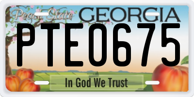 GA license plate PTE0675
