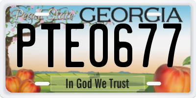 GA license plate PTE0677