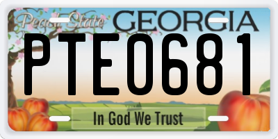 GA license plate PTE0681