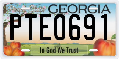 GA license plate PTE0691