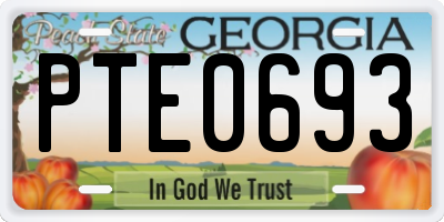 GA license plate PTE0693