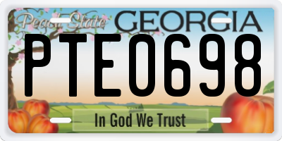 GA license plate PTE0698