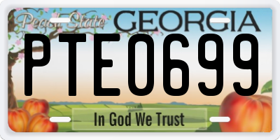 GA license plate PTE0699