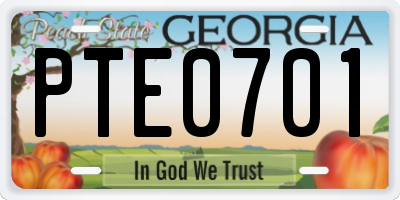 GA license plate PTE0701
