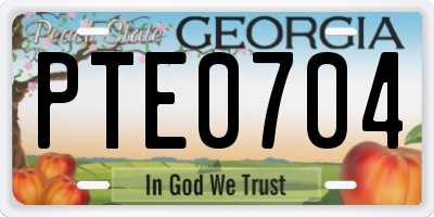 GA license plate PTE0704