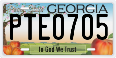GA license plate PTE0705