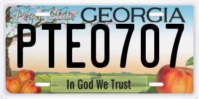 GA license plate PTE0707