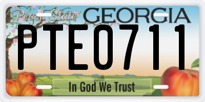 GA license plate PTE0711