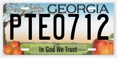 GA license plate PTE0712