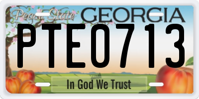 GA license plate PTE0713