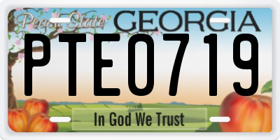 GA license plate PTE0719