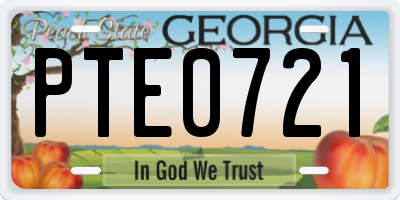 GA license plate PTE0721