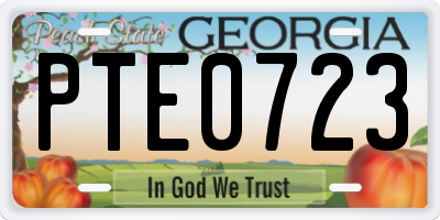 GA license plate PTE0723