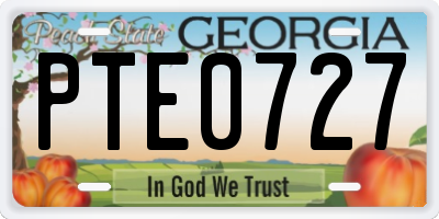 GA license plate PTE0727