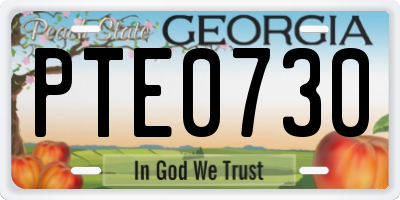 GA license plate PTE0730