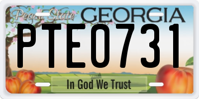 GA license plate PTE0731