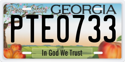 GA license plate PTE0733