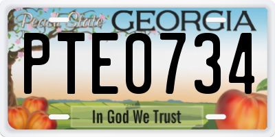 GA license plate PTE0734