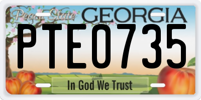 GA license plate PTE0735