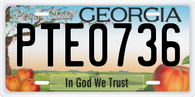 GA license plate PTE0736