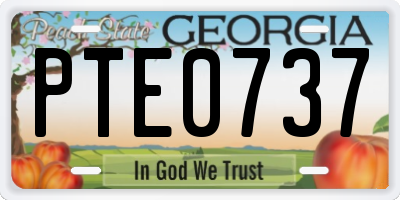 GA license plate PTE0737