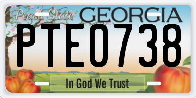 GA license plate PTE0738