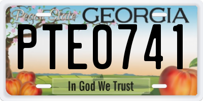 GA license plate PTE0741
