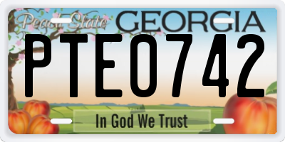 GA license plate PTE0742
