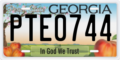 GA license plate PTE0744