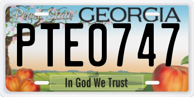 GA license plate PTE0747