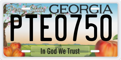 GA license plate PTE0750