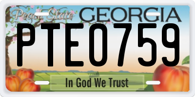 GA license plate PTE0759