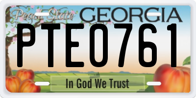GA license plate PTE0761