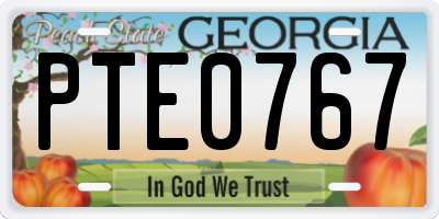 GA license plate PTE0767