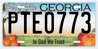 GA license plate PTE0773