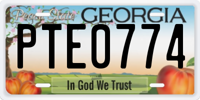 GA license plate PTE0774