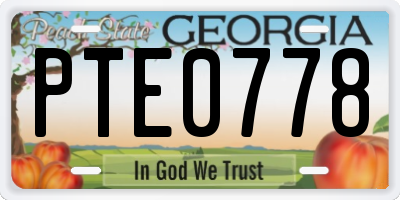 GA license plate PTE0778