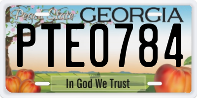 GA license plate PTE0784
