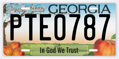 GA license plate PTE0787