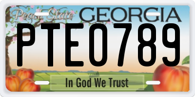 GA license plate PTE0789