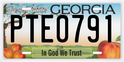 GA license plate PTE0791