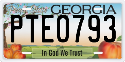 GA license plate PTE0793