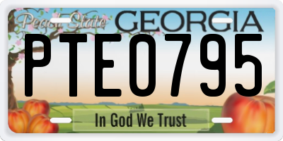 GA license plate PTE0795