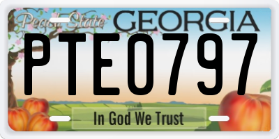 GA license plate PTE0797