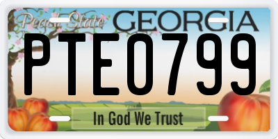 GA license plate PTE0799