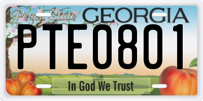 GA license plate PTE0801