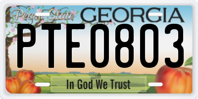 GA license plate PTE0803